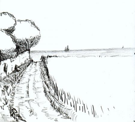 13052004-cotillosketch.jpg