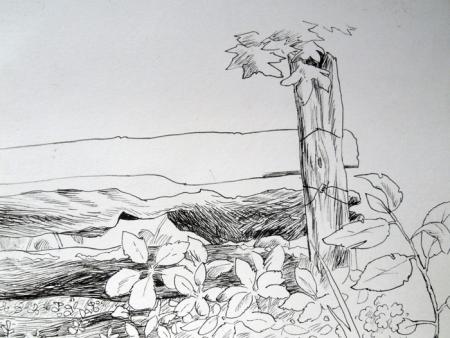 062402-nature
