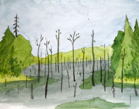 swamp1