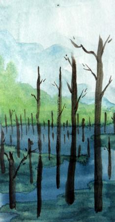swamp2