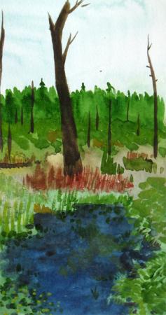 swamp3